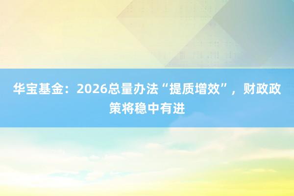 华宝基金：2026总量办法“提质增效”，财政政策将稳中有进