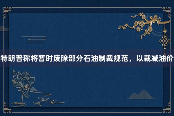 特朗普称将暂时废除部分石油制裁规范，以裁减油价