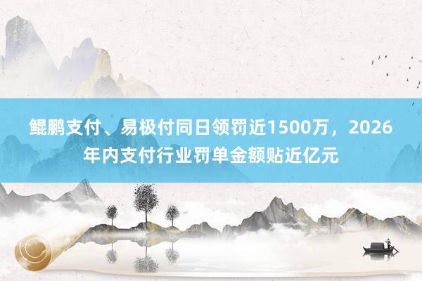 鲲鹏支付、易极付同日领罚近1500万，2026年内支付行业罚单金额贴近亿元
