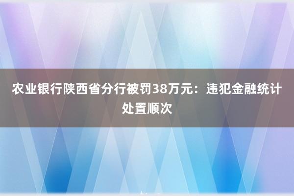 农业银行陕西省分行被罚38万元：违犯金融统计处置顺次
