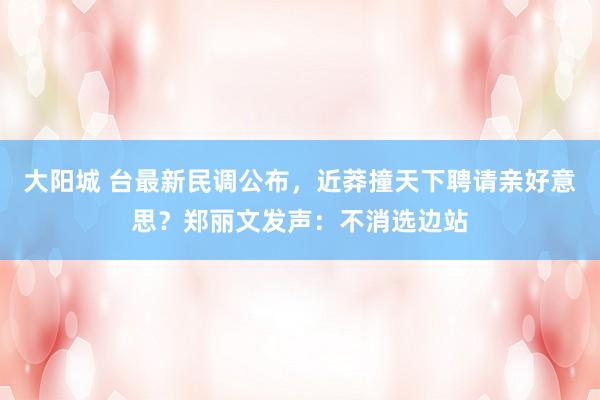 大阳城 台最新民调公布，近莽撞天下聘请亲好意思？郑丽文发声：不消选边站