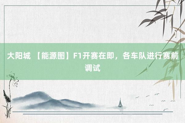 大阳城 【能源图】F1开赛在即，各车队进行赛前调试