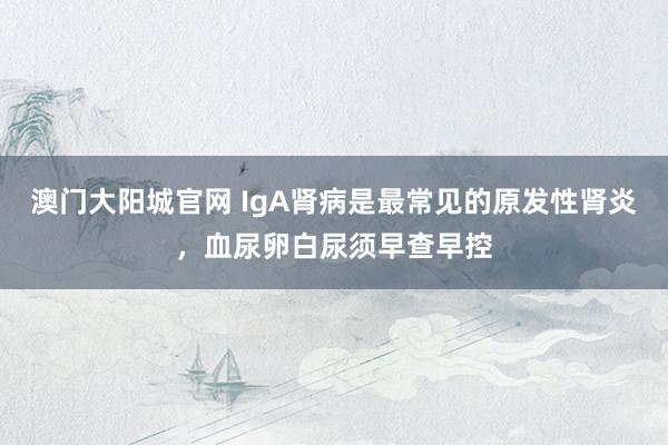 澳门大阳城官网 IgA肾病是最常见的原发性肾炎，血尿卵白尿须早查早控
