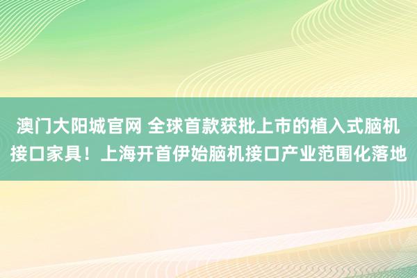 澳门大阳城官网 全球首款获批上市的植入式脑机接口家具！上海开首伊始脑机接口产业范围化落地