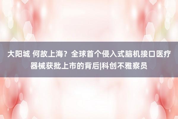 大阳城 何故上海？全球首个侵入式脑机接口医疗器械获批上市的背后|科创不雅察员