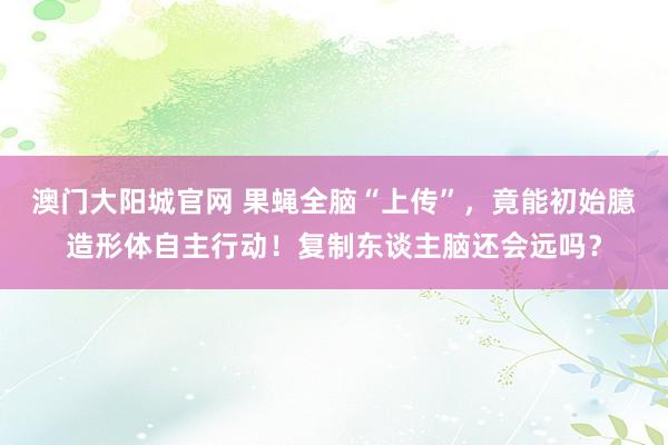 澳门大阳城官网 果蝇全脑“上传”，竟能初始臆造形体自主行动！复制东谈主脑还会远吗？