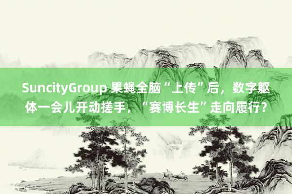 SuncityGroup 果蝇全脑“上传”后，数字躯体一会儿开动搓手，“赛博长生”走向履行？