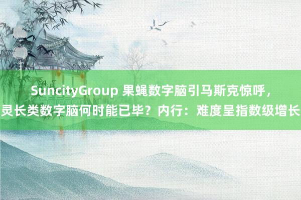 SuncityGroup 果蝇数字脑引马斯克惊呼，灵长类数字脑何时能已毕？内行：难度呈指数级增长