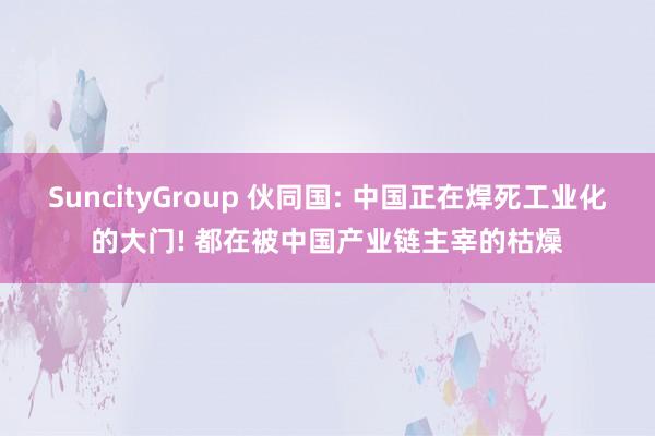 SuncityGroup 伙同国: 中国正在焊死工业化的大门! 都在被中国产业链主宰的枯燥