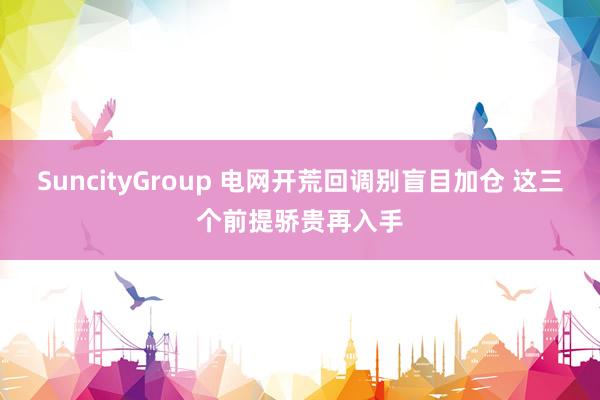 SuncityGroup 电网开荒回调别盲目加仓 这三个前提骄贵再入手