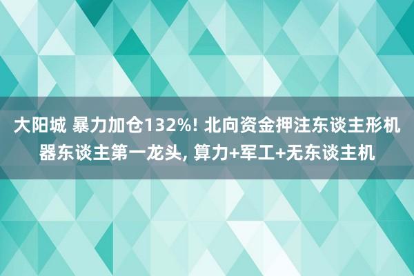 大阳城 暴力加仓132%! 北向资金押注东谈主形机器东谈主第一龙头， 算力+军工+无东谈主机