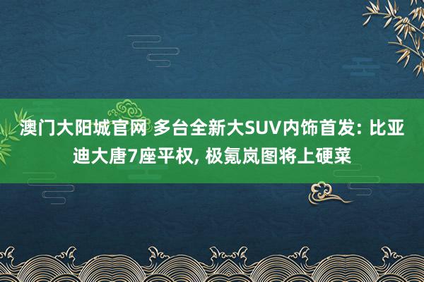 澳门大阳城官网 多台全新大SUV内饰首发: 比亚迪大唐7座平权， 极氪岚图将上硬菜