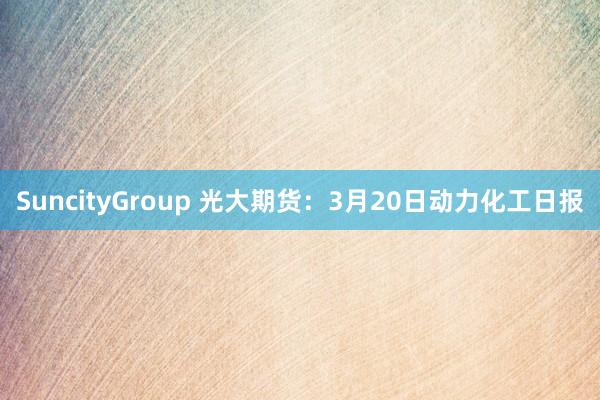 SuncityGroup 光大期货：3月20日动力化工日报