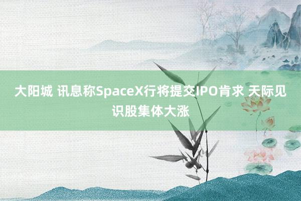 大阳城 讯息称SpaceX行将提交IPO肯求 天际见识股集体大涨