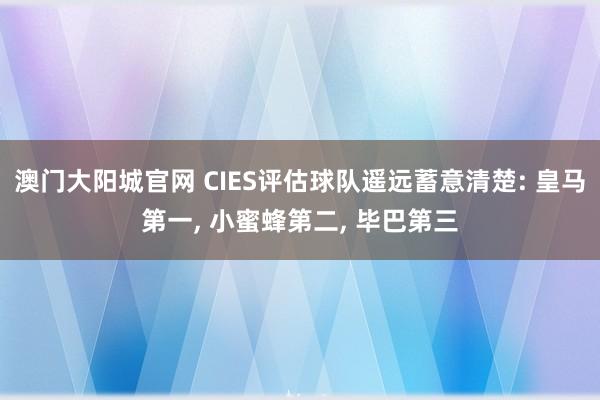 澳门大阳城官网 CIES评估球队遥远蓄意清楚: 皇马第一， 小蜜蜂第二， 毕巴第三