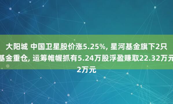 大阳城 中国卫星股价涨5.25%， 星河基金旗下2只基金重仓， 运筹帷幄抓有5.24万股浮盈赚取22.32万元