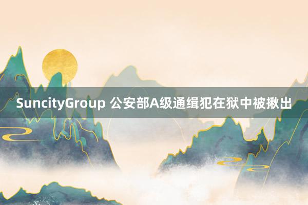 SuncityGroup 公安部A级通缉犯在狱中被揪出