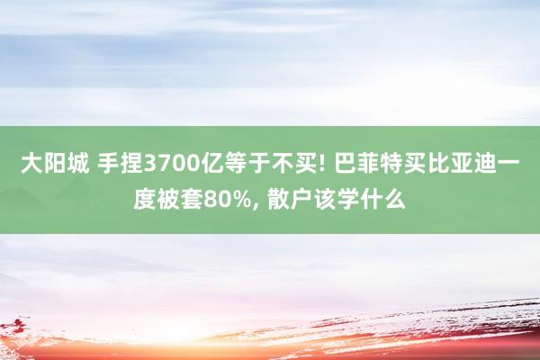 大阳城 手捏3700亿等于不买! 巴菲特买比亚迪一度被套80%， 散户该学什么