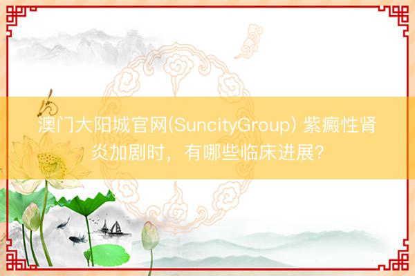 澳门大阳城官网(SuncityGroup) 紫癜性肾炎加剧时,有哪些临床进展?