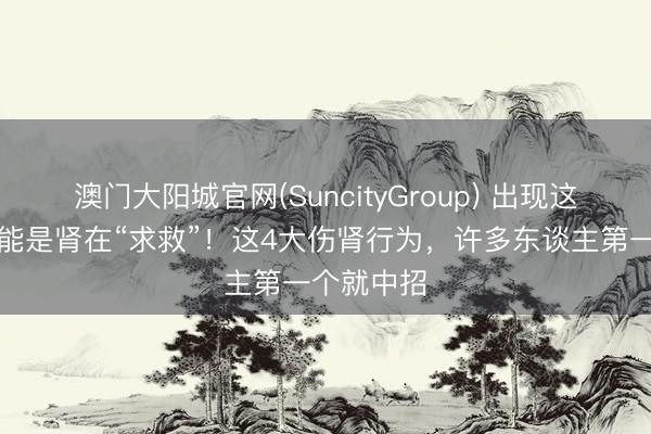 澳门大阳城官网(SuncityGroup) 出现这些症状可能是肾在“求救”！这4大伤肾行为，许多东谈主第一个就中招