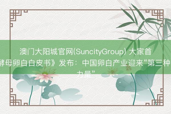 澳门大阳城官网(SuncityGroup) 大家首部《酵母卵白白皮书》发布：中国卵白产业迎来“第三种力量”