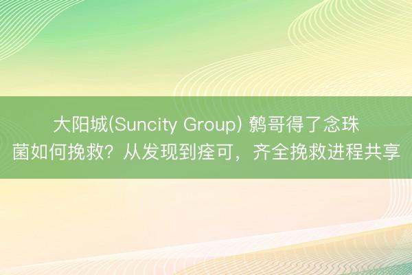 大阳城(Suncity Group) 鹩哥得了念珠菌如何挽救？从发现到痊可，齐全挽救进程共享