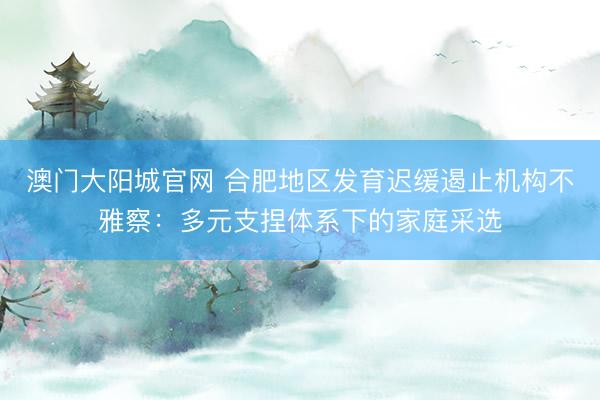 澳门大阳城官网 合肥地区发育迟缓遏止机构不雅察：多元支捏体系下的家庭采选