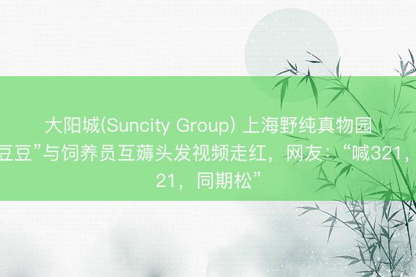 大阳城(Suncity Group) 上海野纯真物园蜘蛛猴“豆豆”与饲养员互薅头发视频走红，网友：“喊321，同期松”