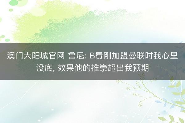 澳门大阳城官网 鲁尼: B费刚加盟曼联时我心里没底， 效果他的推崇超出我预期